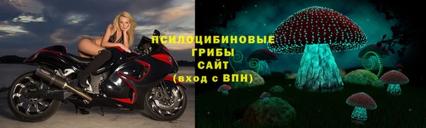 винт Армянск