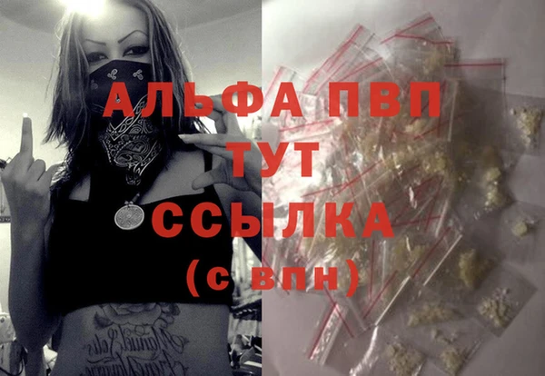 PSILOCYBIN Аркадак