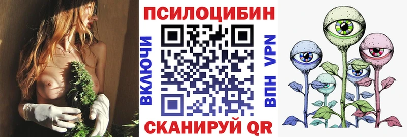 Псилоцибиновые грибы мицелий  магазин  наркотиков  Спасск-Дальний 
